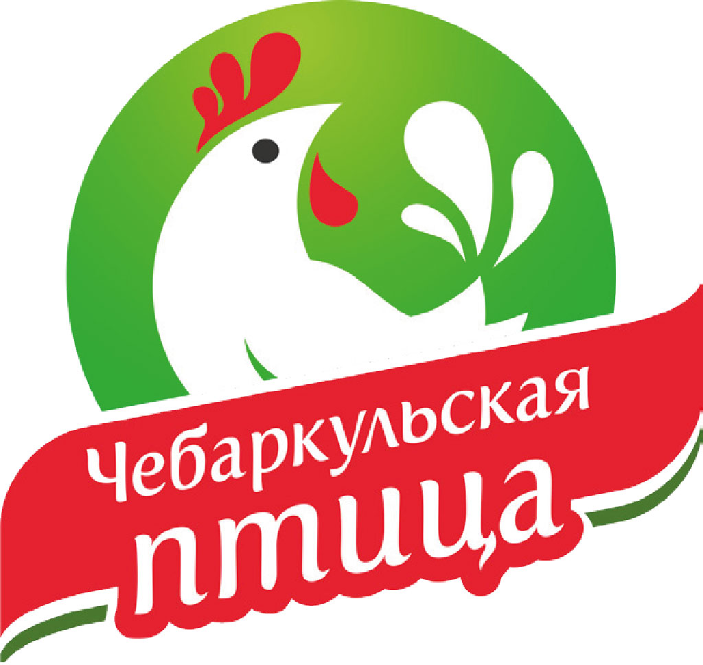 Портфолио Чебаркульская птица