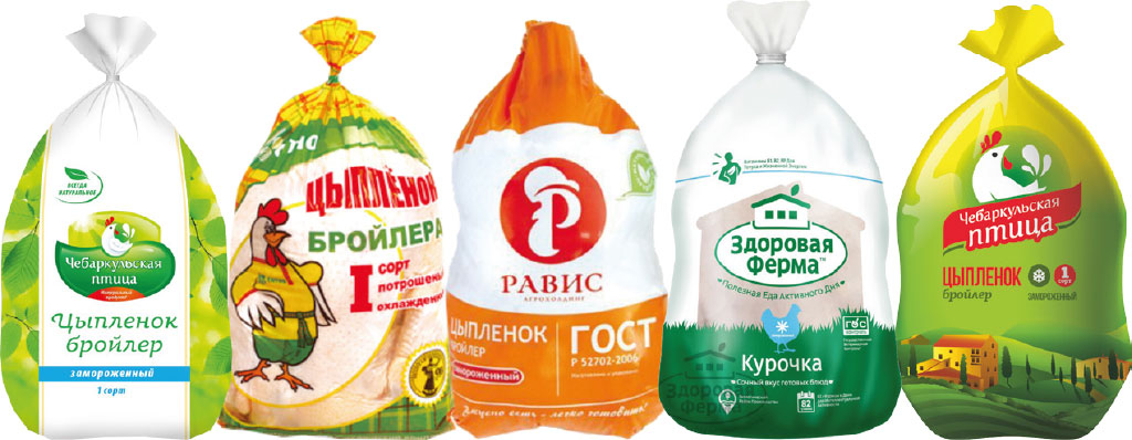 Портфолио Чебаркульская птица