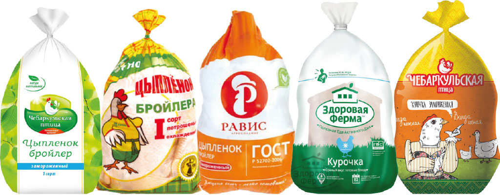 Портфолио Чебаркульская птица