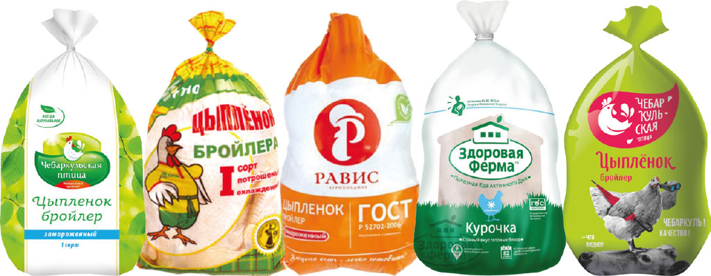 Портфолио Чебаркульская птица