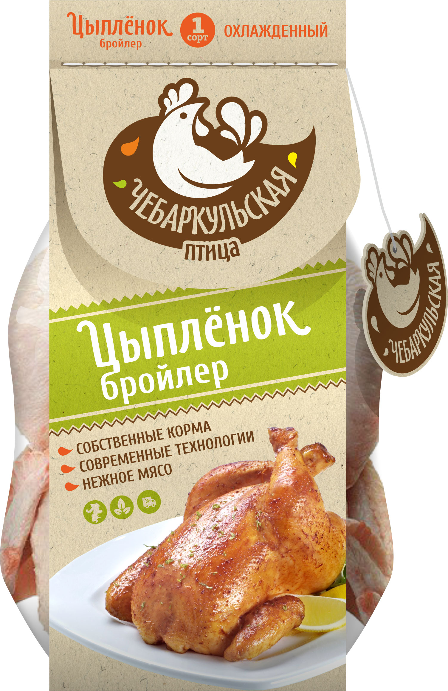 Портфолио Чебаркульская птица