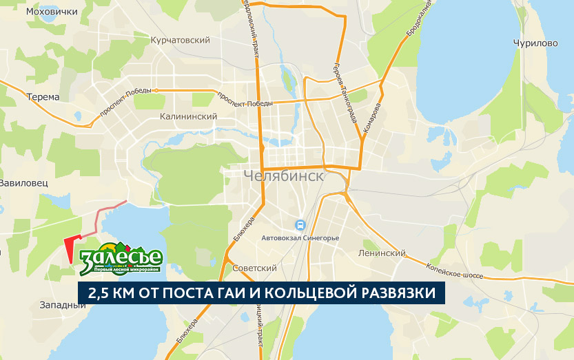 Портфолио Залесье